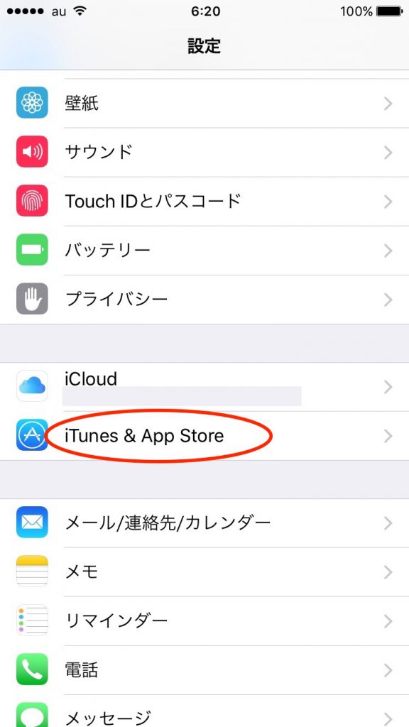 「iTunes & Apple Store」をタップ
