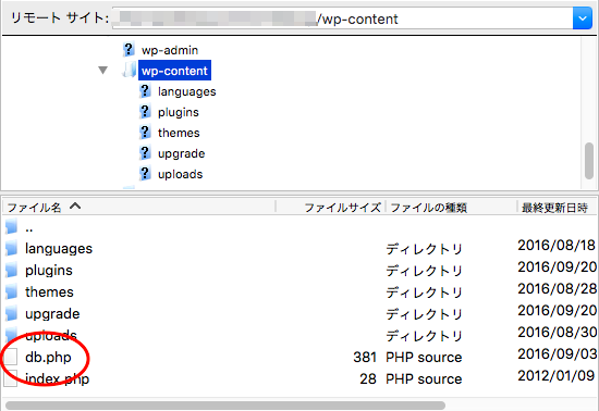 「wp-content」フォルダ